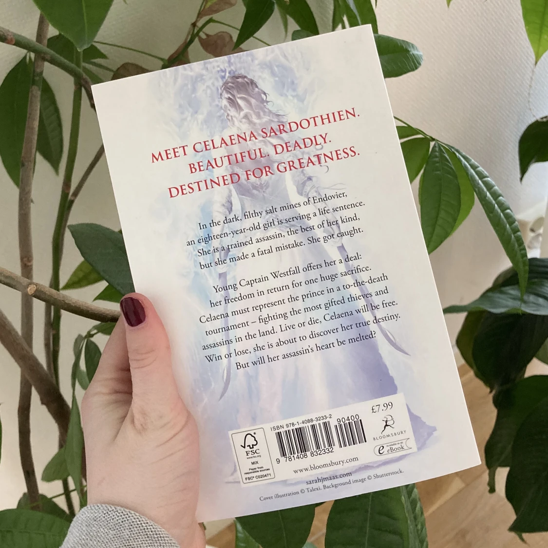 Throne of glass - 90