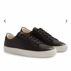 Sneaky steve skor - Sneaky steve skor, nypris 1099kr. Helt nya, aldrig använda, storlek 38 men skulle säga att dom passar 37 eftersom är jag storlek 38 i skor och dom är för små.