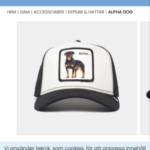 Keps - Alpha keps  Bra skick använt 1 gång  Säljer pgr av använder den inte 