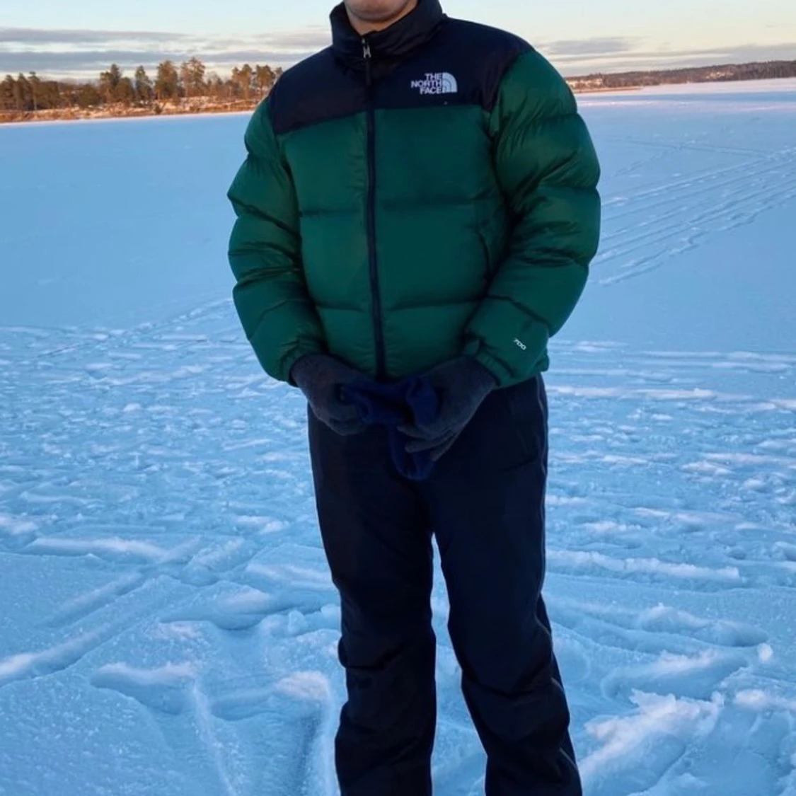 The north face jacka  - 91