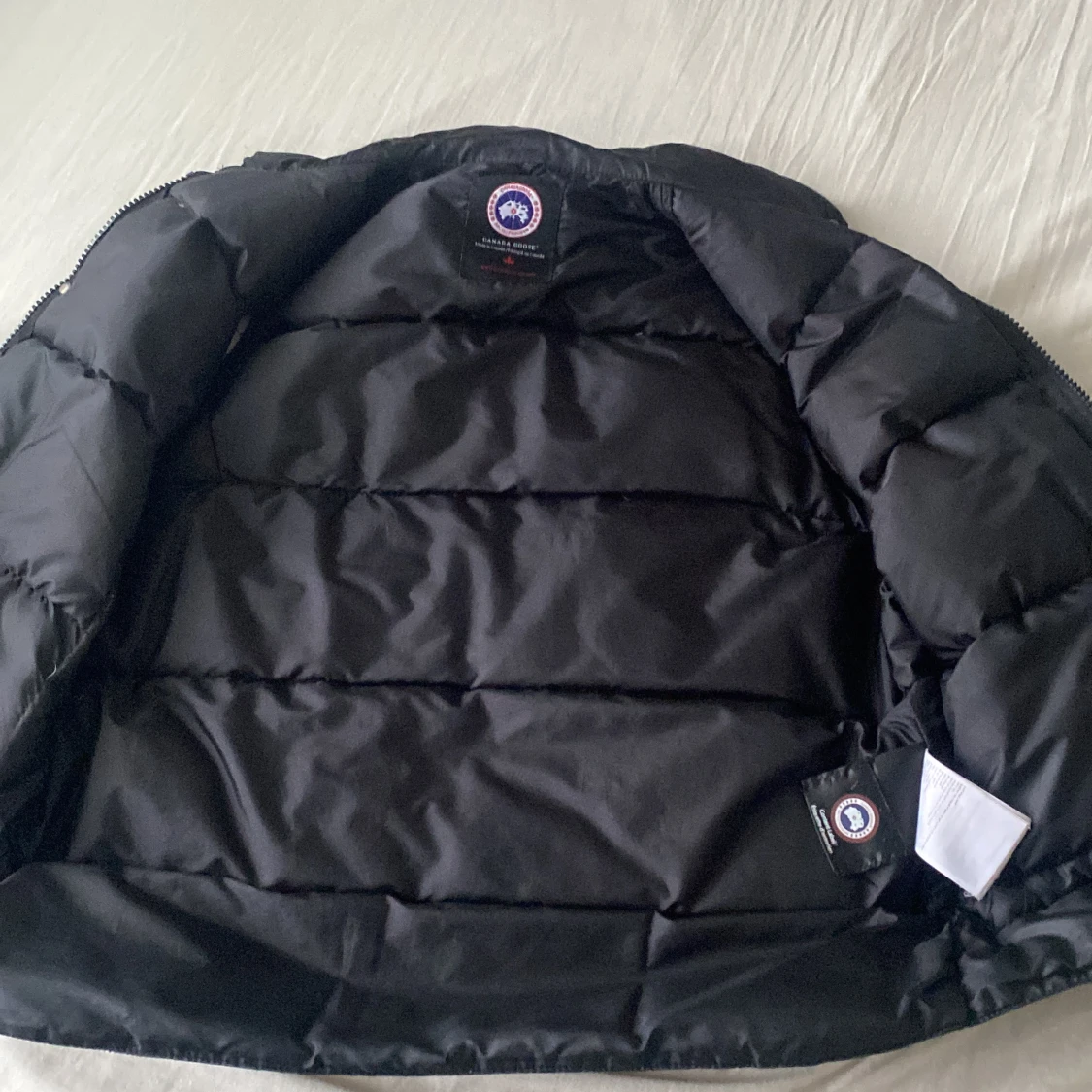 Canada goose - 90
