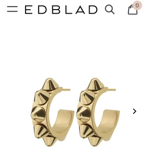 Edblad örhängen  - Säljer dessa helt oanvända örhängen från Edblad. såå fina och populära. Kom privat för mer frågor 💗