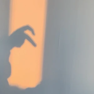 SÖKER!!!! - Jag söker juicy couture byxor. XXS ❤️ inte över 1000