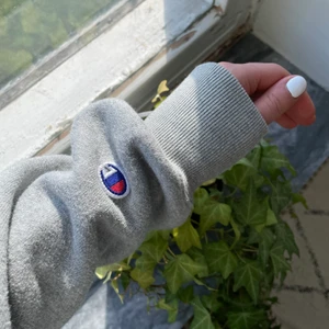 Champion hoodie - Grå championhoodie med luva i rejält material. Köpt förra sommaren på Urban Outfitters i Köpenhamn! Ordinariepris var 800 kr ungefär. Kommer dessvärre inte till användning längre så väljer därför att sälja, frakten ingår inte i priset💓