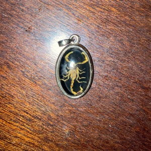 Skorpion Hängsmycke  - Ca 1,5 cm vet ej om det är silver men äkta skorpion 