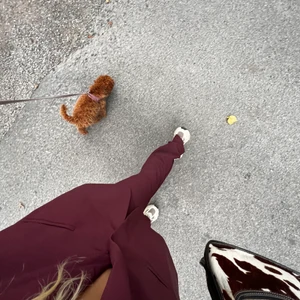 Ny Hosbjerg kostym - Helt ny från den senaste Hosbjerg kollektionen! Storlek XS. Kavajen sitter loose men byxorna är en true XS. Hög midja. Burgundy färg. 