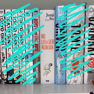 No longer human - Säljer min No longer human (manga tolkning av junji ito) super bra skick och endast läst en gång! 