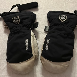 Skidvantar - Alpin skidvantar hestra storlek 9