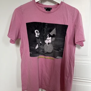 T-shirt Zara - Söt T-shirt från Zara. Använd en gång. Strl S