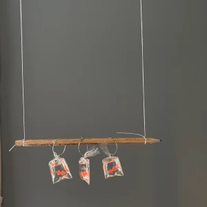 Fiskörhänge - Coolaste örhänget! En fisk i en påse🐠1 för 100,2 för 150! Frakt ingår🥰 hänget finns i tre olika former! Matcha som du vill🥰