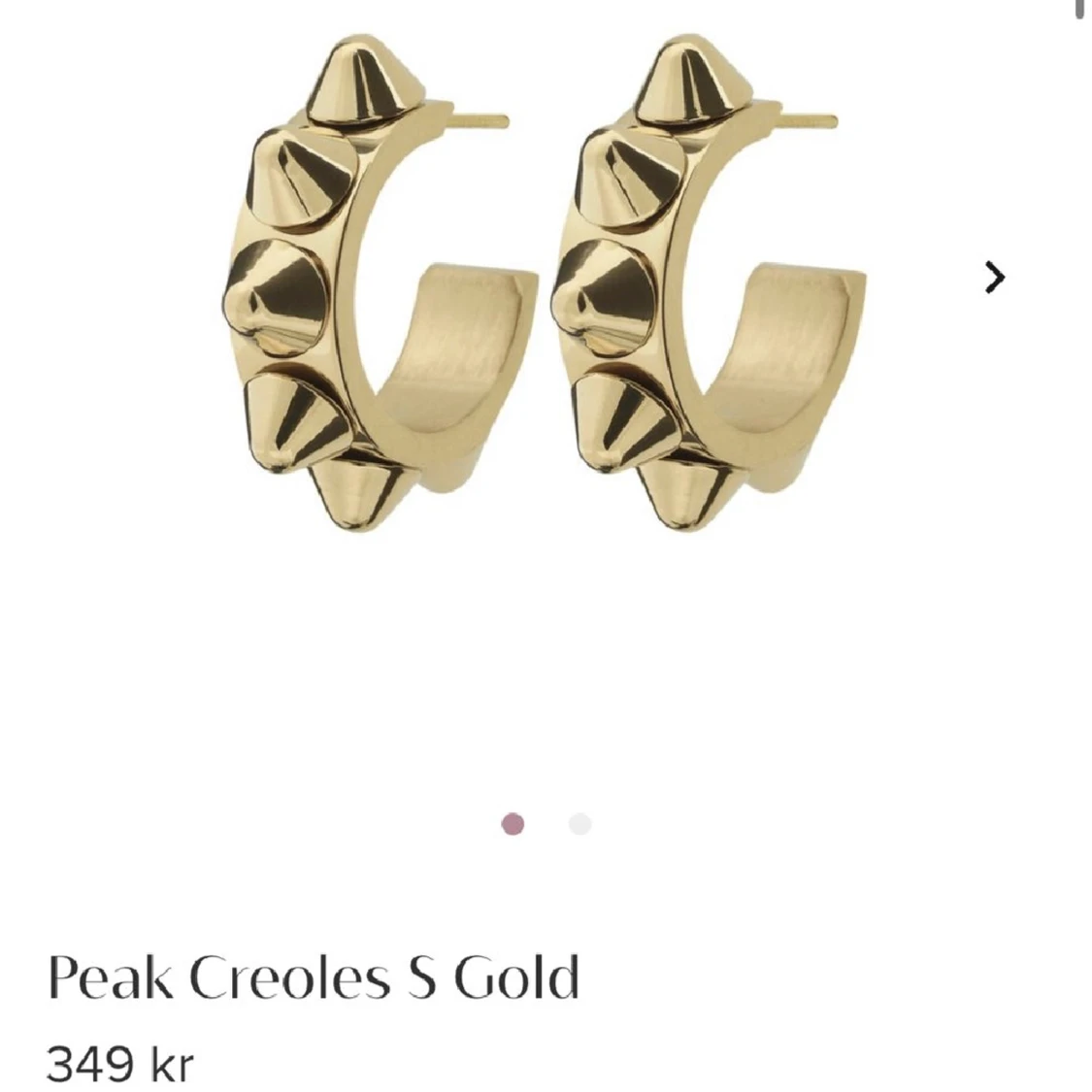 Örhängen med nitar, edblad