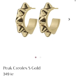 Örhängen med nitar, edblad - Använd ett fåtal gånger