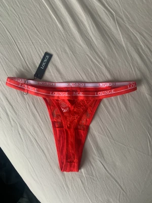 Loungeunderwear - Helt nya trosor från Loungeunderwear. Storlek XS. Nypris 200kr