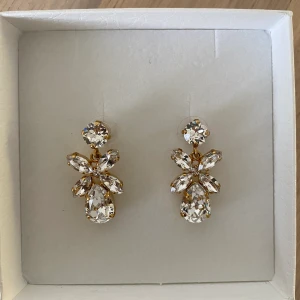 Caroline svedbom örhängen - Som nya.700kr