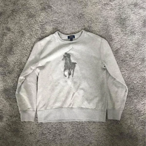 Polo Ralph lauren hoodie  - En polo hoodie i ny skick. Den passar storlek 160-178 cm lång. Skriv vid frågor.