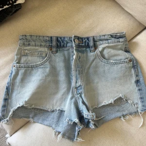 Shorts  - Zara shorts 