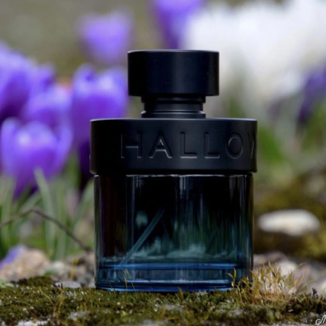 Halloween man x parfym
