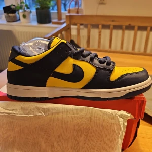 Nike dunks Michigan  - Nya I låda