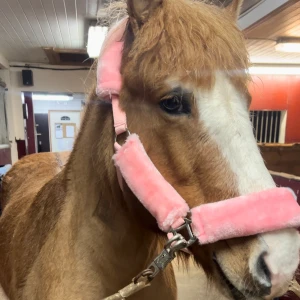 Grimma  - Säljer av lite grimmor då jag har för mycket 