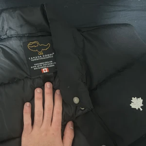 .. - Har använt flera gånger stor lek M 