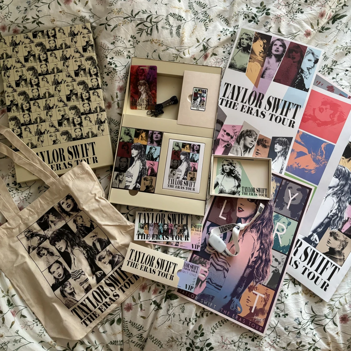 Taylor Swift eras tour VIP box