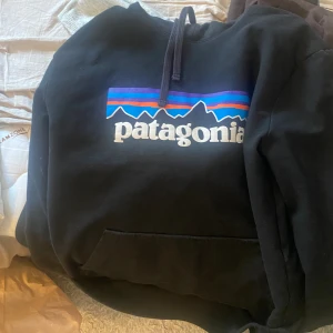 Pantagonia hoddie - Jättebra skick i princip oanvänd. 