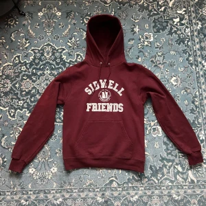 Champion Hoodie - Säljer då jag inte har någon anledning att ha kvar den, använt endast 2 gånger  Bara o skriva om du har funderingar 