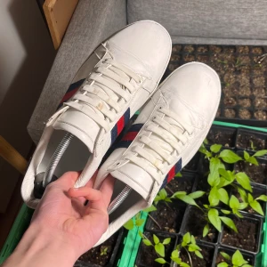 Gucci ace - Tja säljer dessa as feta Gucci ace skor då dem inte längre används skick 6/10 pris går att diskutera vid snabb affär hör av er kring övriga frågor 🙏 OBS självfallet äkta !! 