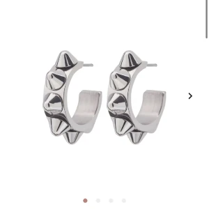 Edblad örhängen - Endast testade och väljer att sälja då jag behlver pengar. Tror tyvärr inte jag har kvar boxen. 