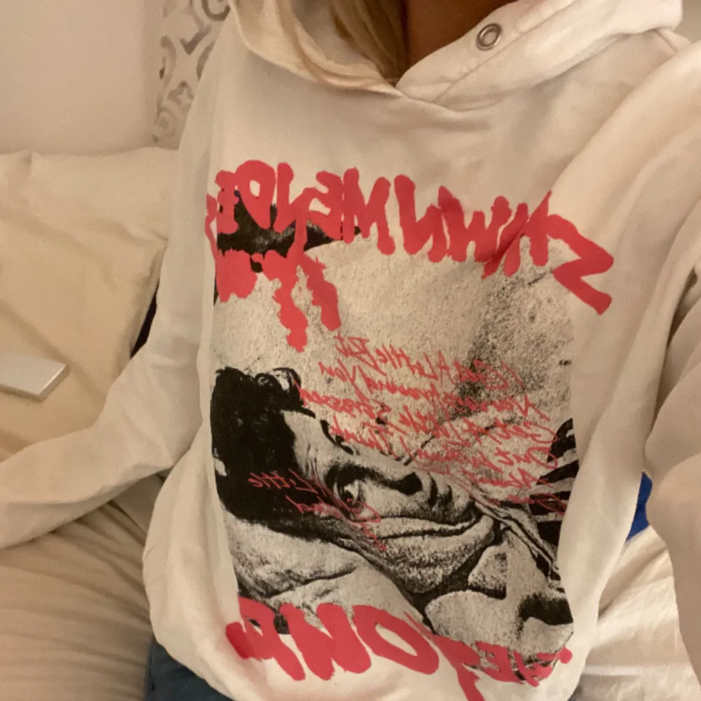 Supermysig Shawn Mendes hoodie från H&M💕 storlek M. Hoodies.