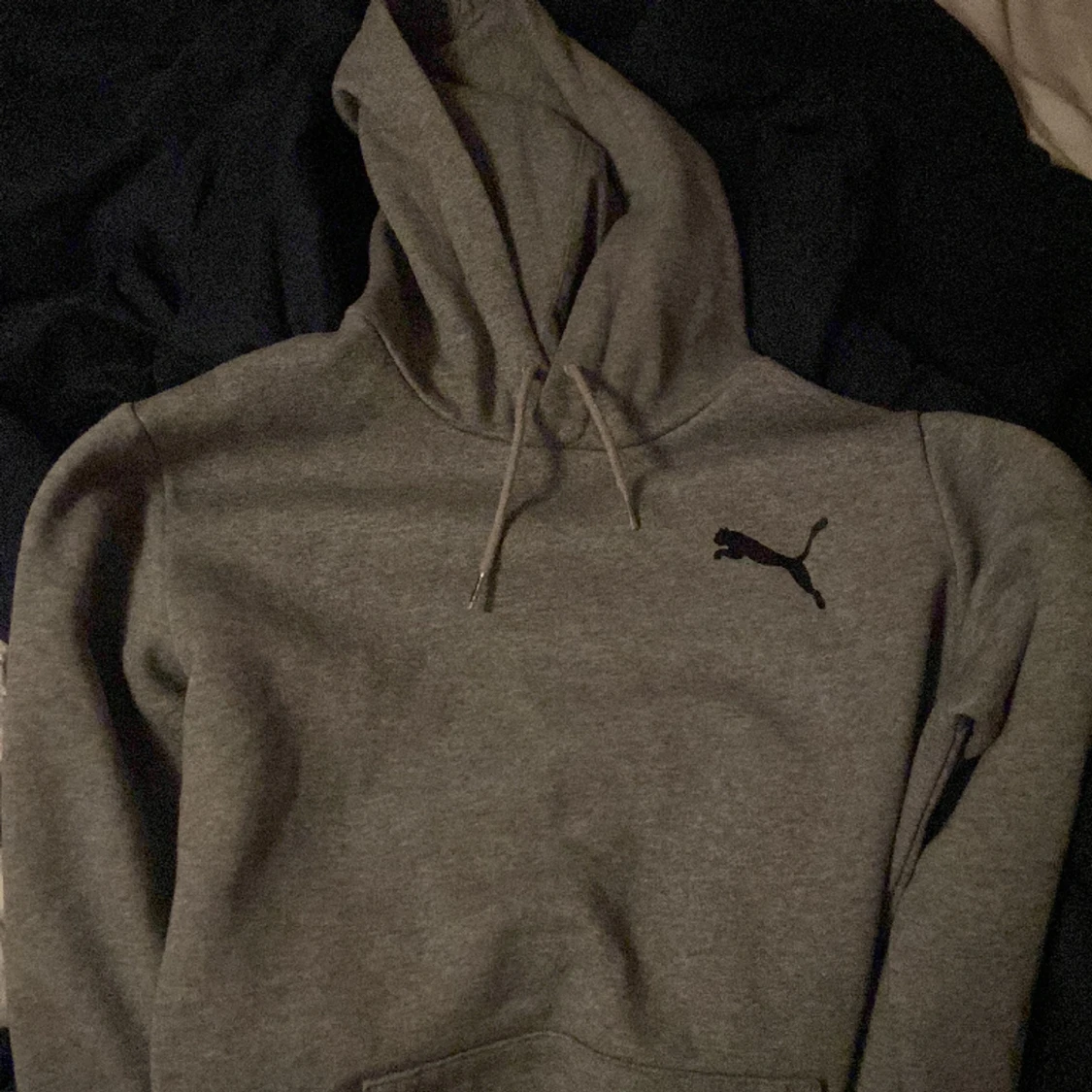 Grå Puma Hoodie
