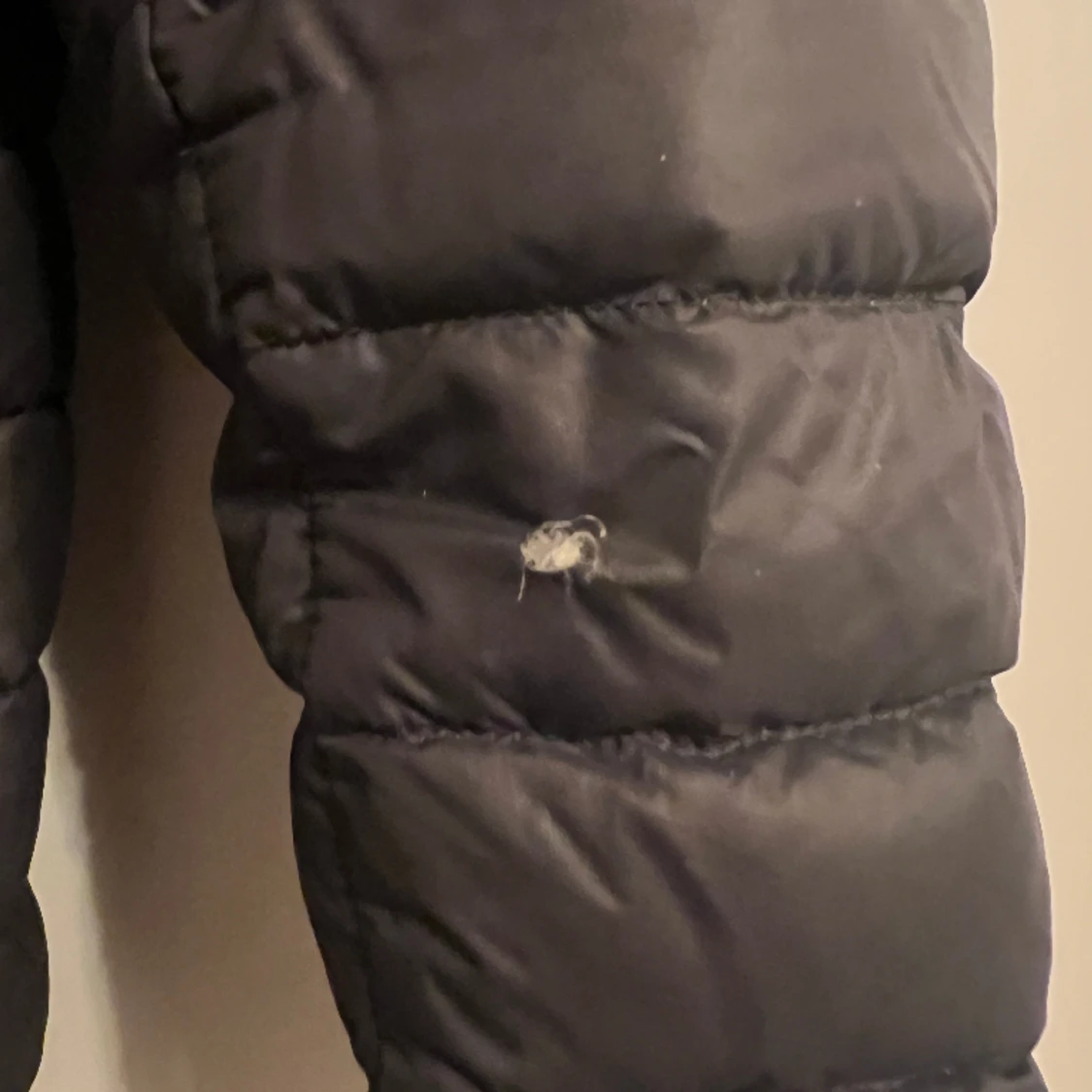 Peak performance M - 91