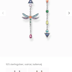 Örhängen Thomas Sabo - Intresse kontroll på dessa fina örhängen från Thomas Sabo. Nypris är 1600 och dessa säljs inte längre. Kom med prisförslag💕