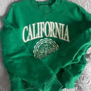 Grön sweatshirt med tryck  - Jätte mysig grön sweatshirt ifrån hm med tryck. Tröjan används inte där av lågt pris.  Bra skick 💗