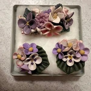 Smycken-brosch och örönhäng  - Oanvända 