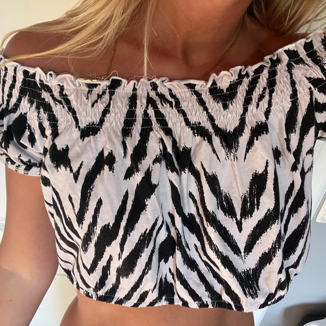 ZEBRA TOPP - 90