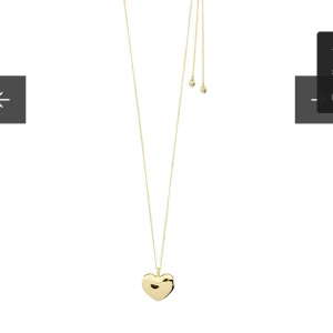 Halsband pilgrim 💞 - Halsband från pilgrim. Nypris 449kr lappen är kvar. Säljer för 200kr. 