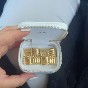 ANI Checkered Earrings Gold  - Säljer mina helt oanvända örhängen får ANI. Fick hem igår. Säljer pga en produktionsskada  som är att piggen man tar in i örat är lite kortare än den ska vara. fortfarande användbara. Säljer då jag väntar på ett nytt par av ANI 