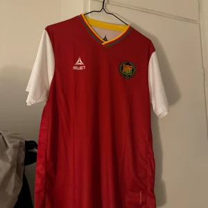 Gais tredjetröja - Gais tredjetröja för denna säsongen. Storlek S Använd två gånger & tröjan är 10/10 i skick, alltså som en ny. Kvitto finns på att den är äkta.