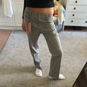 Grå kostymbyxor - Säljer dessa grå kostymbyxor från Atelier Gardeur. Aldrig använda med prislapp kvar. 