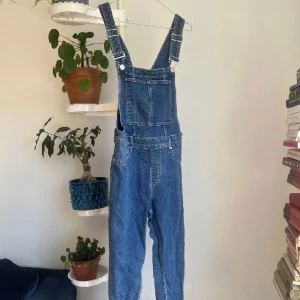 Hängselbyxor  - Hängselbyxor från cheap monday. Nypris: ca 800kr (Inte mina bilder)
