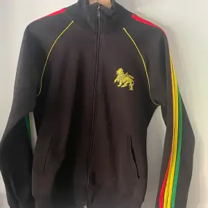 Rasta hoodie with back/front print