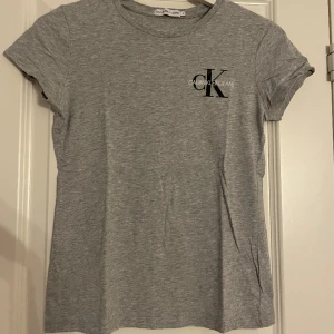Calvin Klein T-shirt - En grå Calvin Klein T-shirt med svart/vit märke. Använd få tal gånger. Storlek för 12-åringar, passar mig som en ganska smal o bär xss/xs.