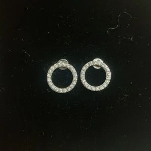 Glittriga örhängen  - Silvriga glittriga örhängen, aldrig använda!! Säljer för att jag inte använder silver. Tror dem är köpta på edlblad men för något år sen och hittar de inte på hemsidan nu.