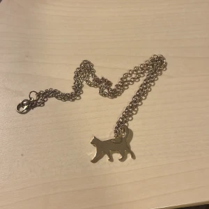 Katt halsband - Rostad halsband men syns inte så mycket att den är det. Skriv om du har frågor!
