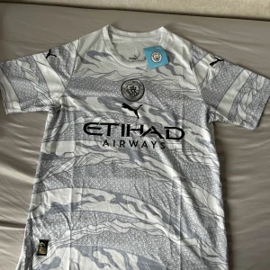 Manchester City Year Of Dragon Kit S-L - Möts upp i Stockholm 