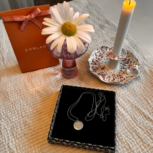 Halsband Edblad  - Halsband från Edblad det är ett Ankare på berlocken, Det är i stål.  Det är jätte fint skick och vill ni ha Edblad låda kostar det 15kr extra + frakt.