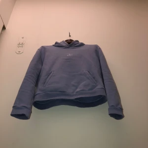 ljusblå hoodie - ca 50 bred 50 lång, storlek L men mer M eller S