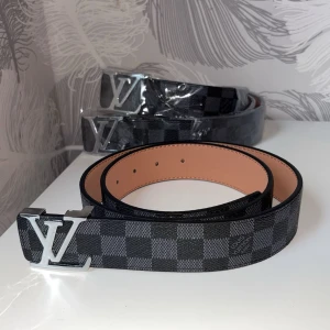 Silver/svart rutig bälte/skärp - Jätte fina bälten som är helt nya och oanvända! Fint pris också, 199kr styck. På just den här modellen finns det 3st bälten. En liten metall grej man kan göra hål på bälten ingår också 🤩