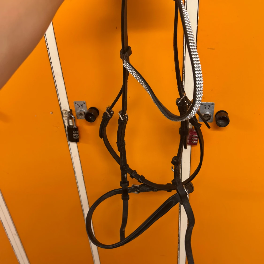 Svart träns med glittrigt pannband